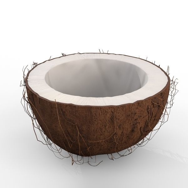 Coconut Half 3D model_13