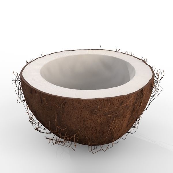 Coconut Half 3D model_5