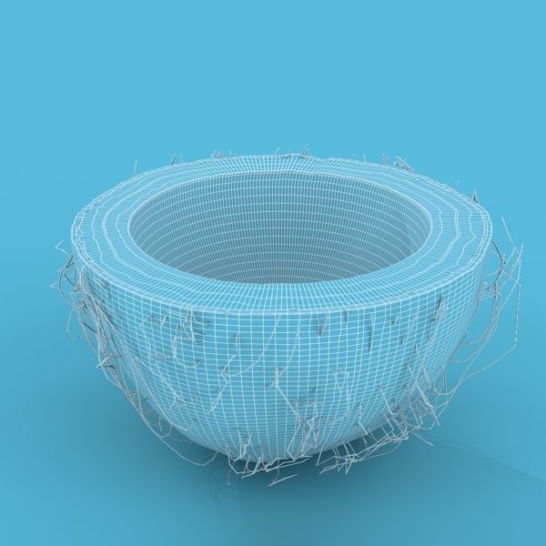 Coconut Half 3D model_4