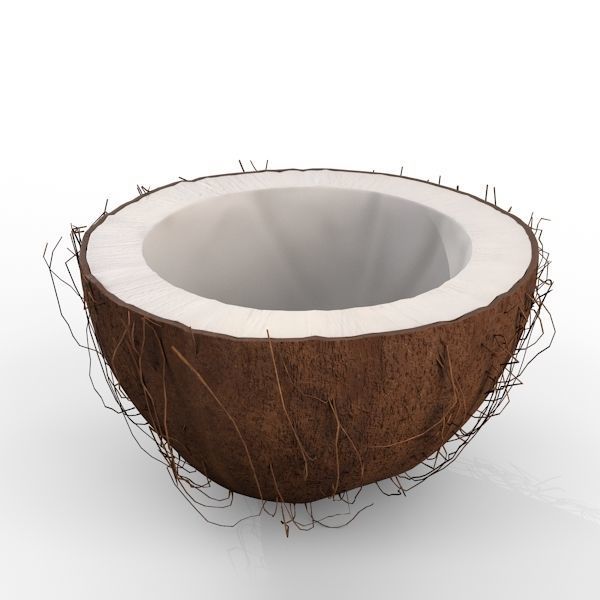 Coconut Half 3D model_11