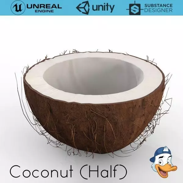 Coconut Half 3D model_0