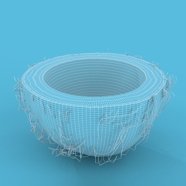 Coconut Half 3D model_6