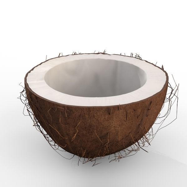 Coconut Half 3D model_3