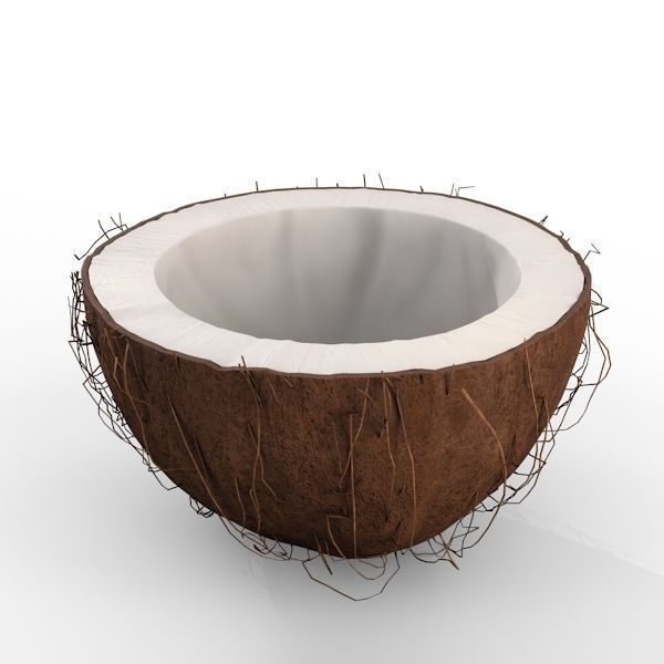 Coconut Half 3D model_9