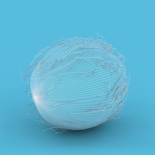 Coconut 3D model_14