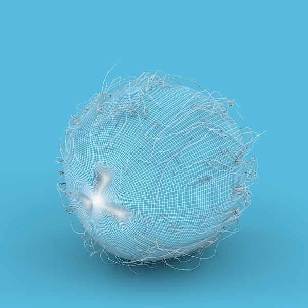 Coconut 3D model_6