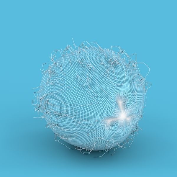 Coconut 3D model_4