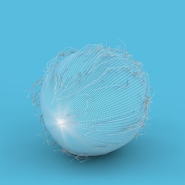 Coconut 3D model_12