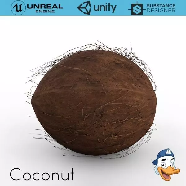 Coconut 3D model_0