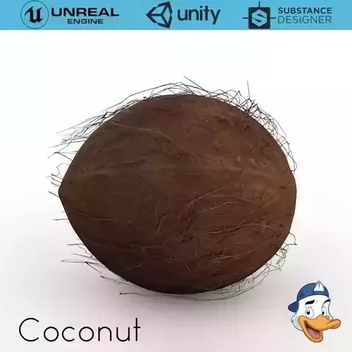 Coconut