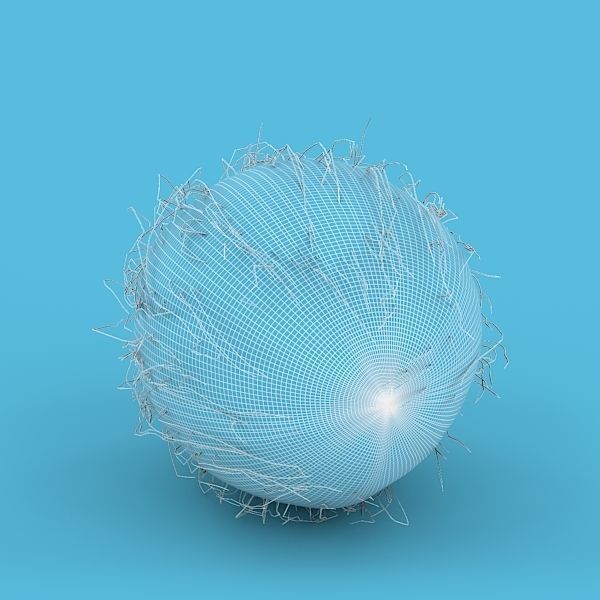 Coconut 3D model_10