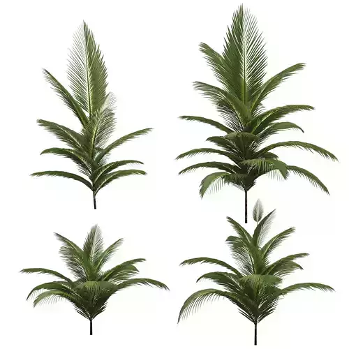 Palm trees - 4 models