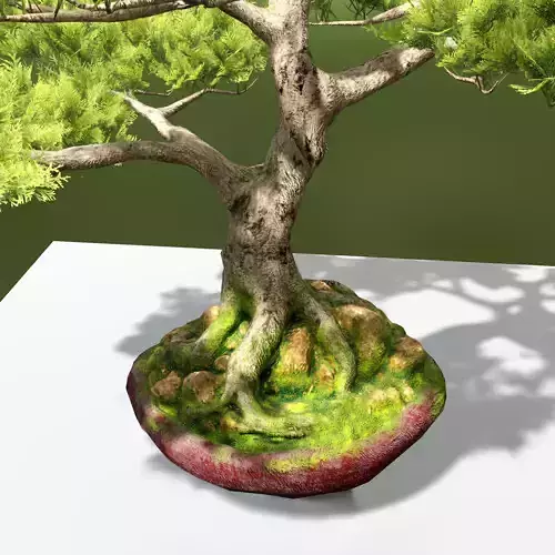 Bonsai Tree Low-poly 3D model