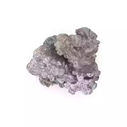 Corel 01 - Low and High Poly versions