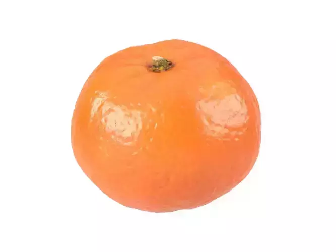 Photorealistic Clementine 3D Scan