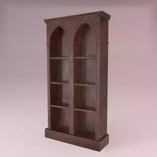 Old Dusty Bookshelf