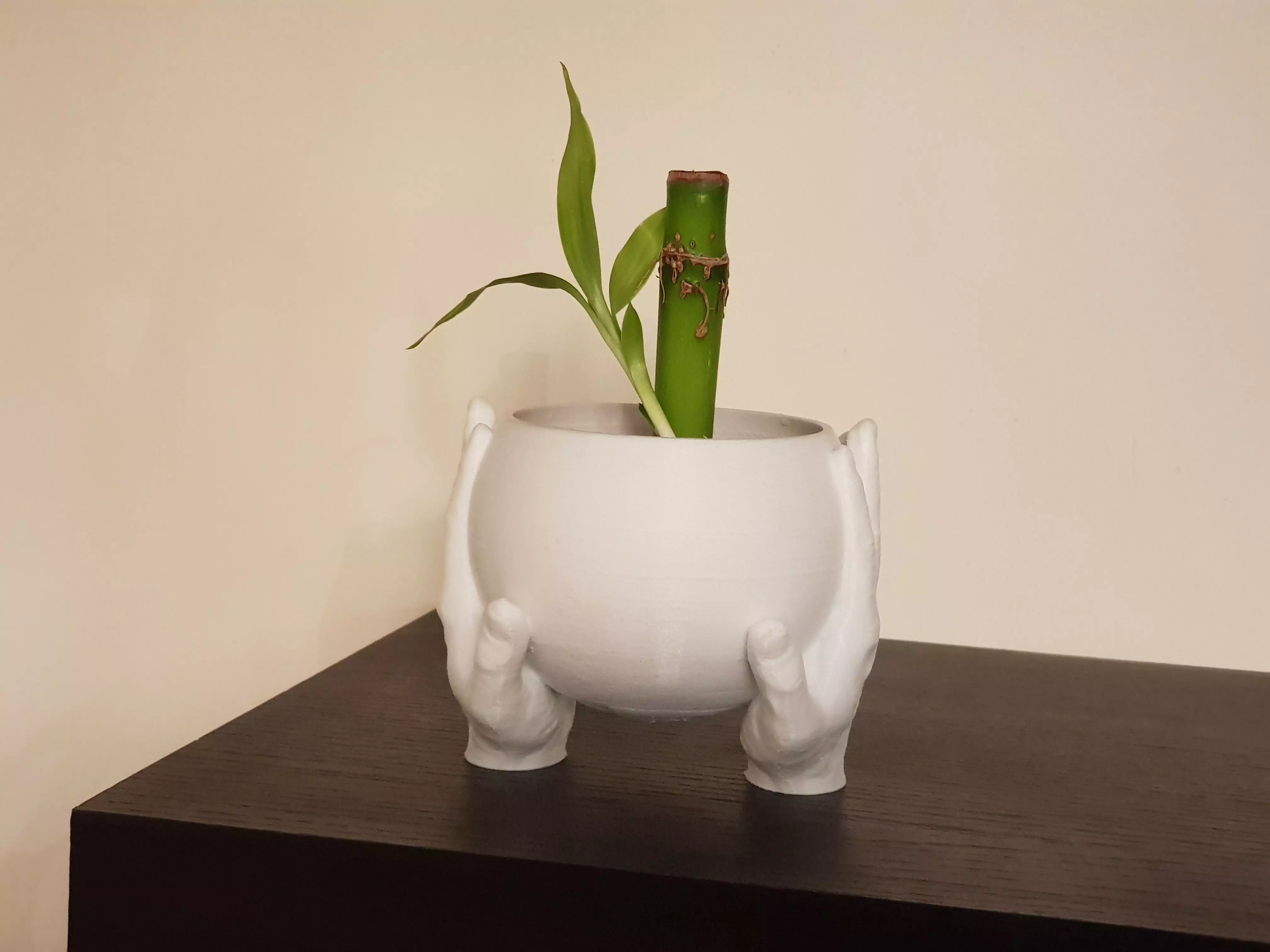 Carrying hands plant pot 3D model_0