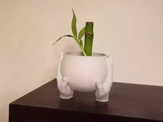 Carrying hands plant pot 3D model