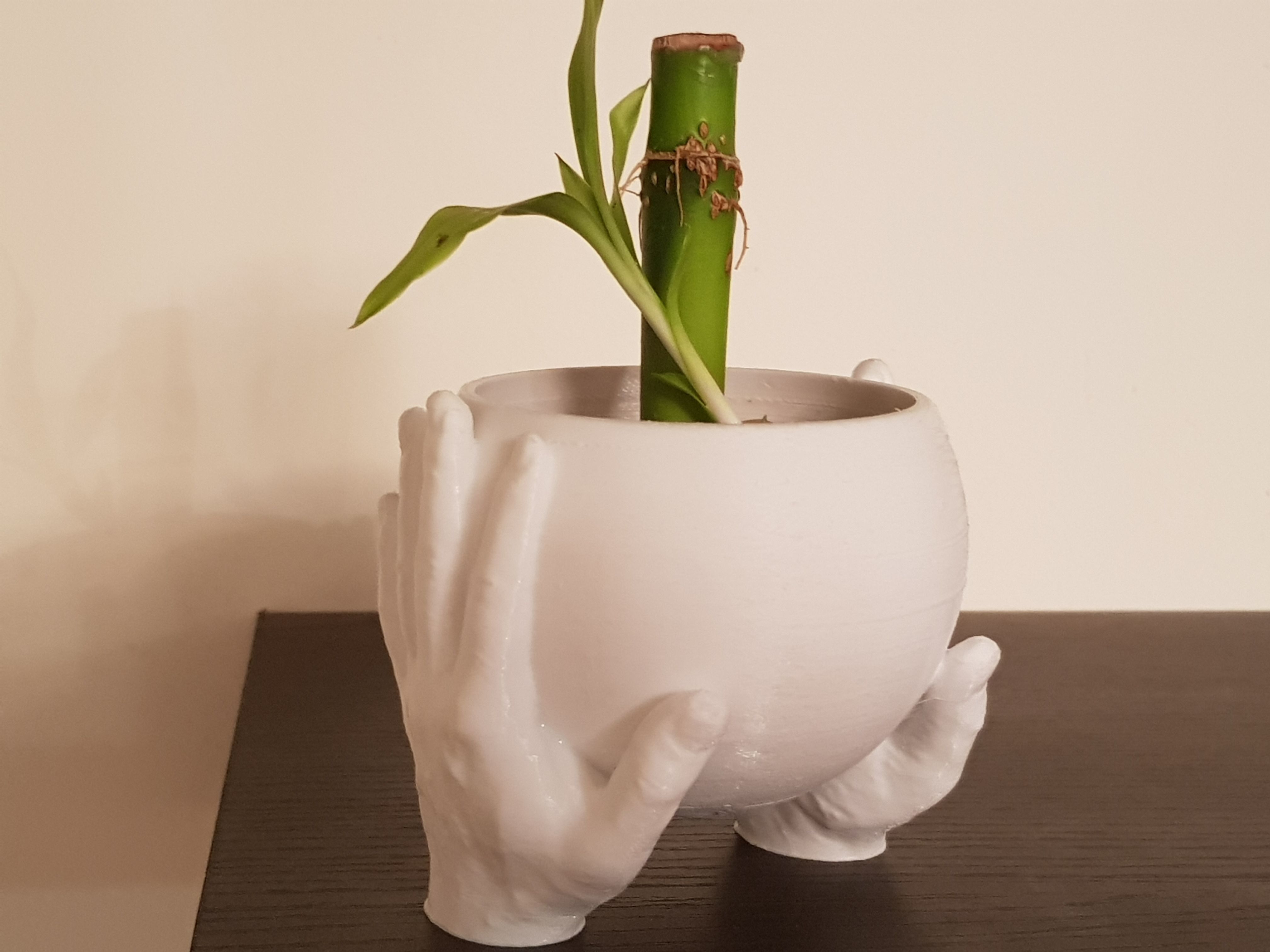 Carrying hands plant pot 3D model_1