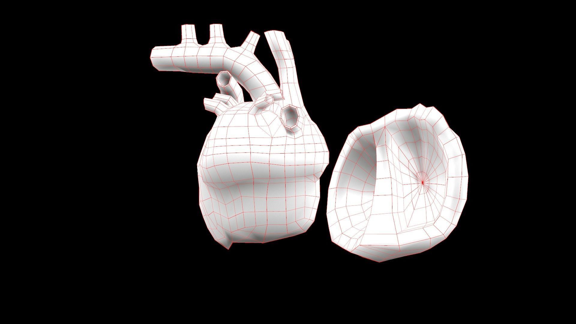 Heart Medical Science Low-poly 3D model_10