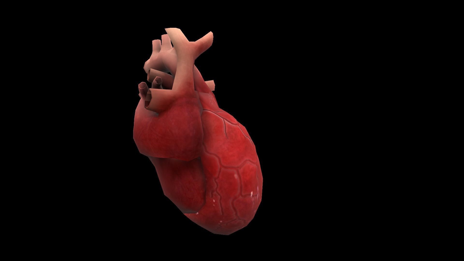 Heart Medical Science Low-poly 3D model_5