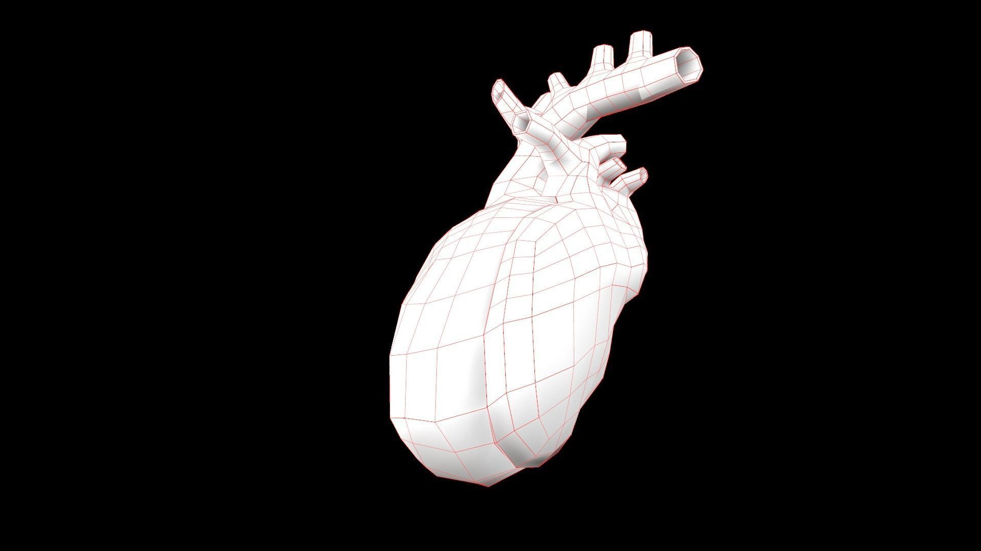 Heart Medical Science Low-poly 3D model_11