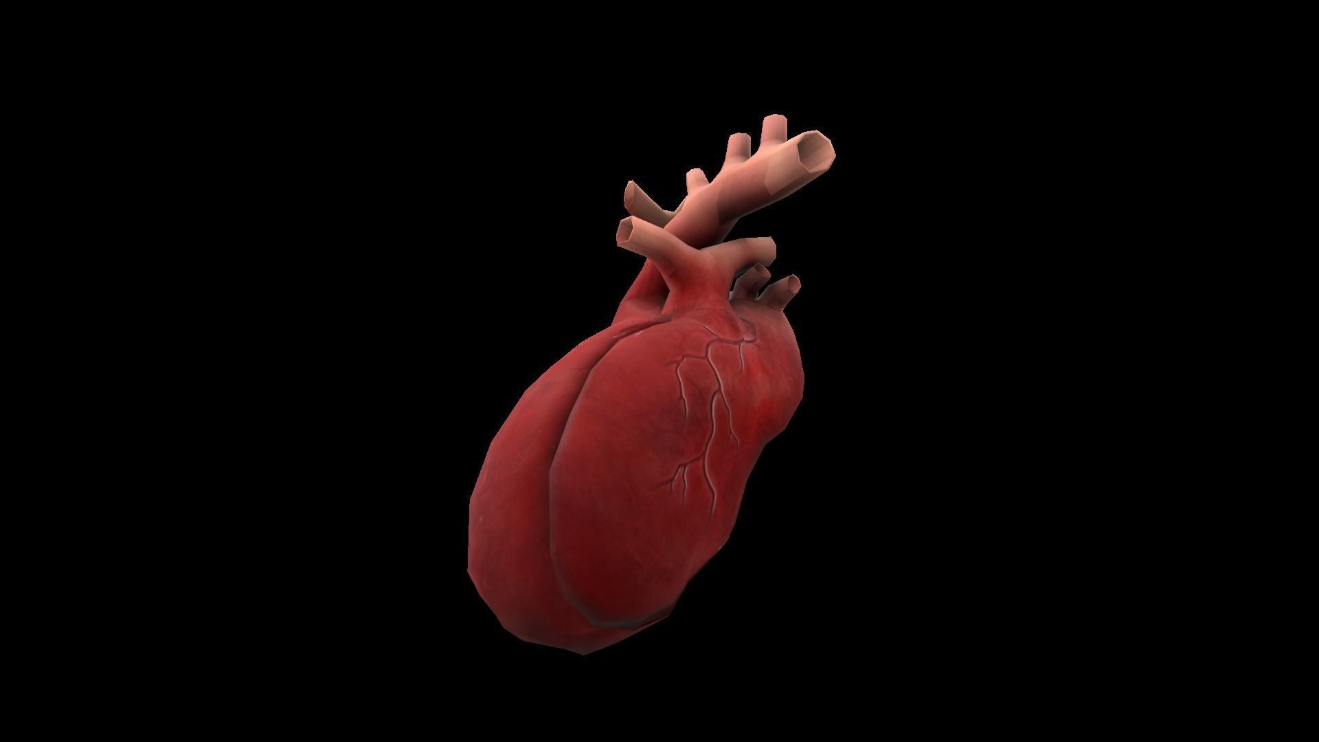 Heart Medical Science Low-poly 3D model_6