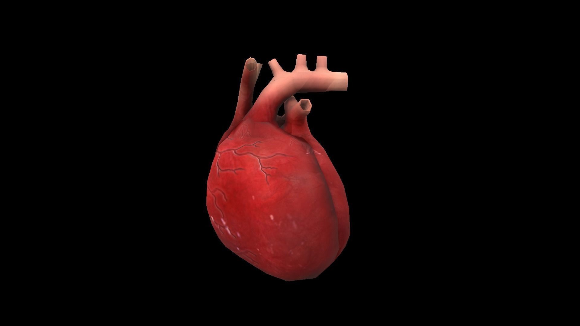 Heart Medical Science Low-poly 3D model_4