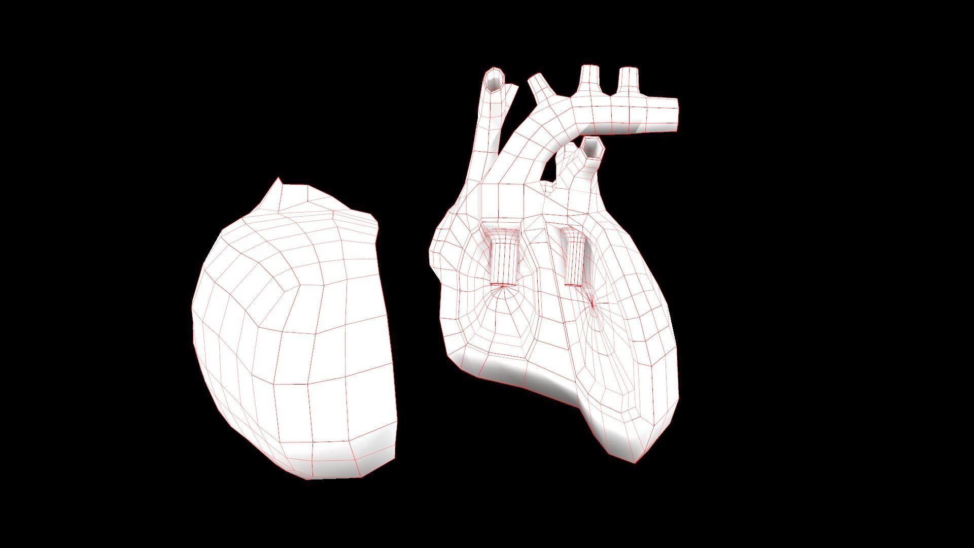 Heart Medical Science Low-poly 3D model_9