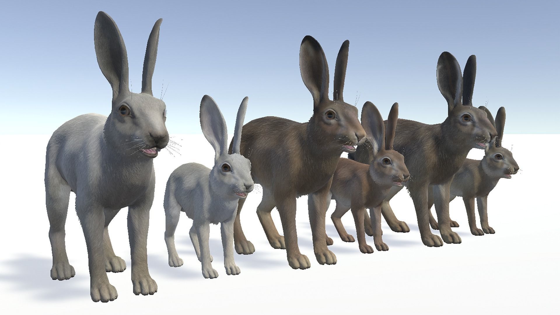 HARE FAMILY Low-poly 3D model_5