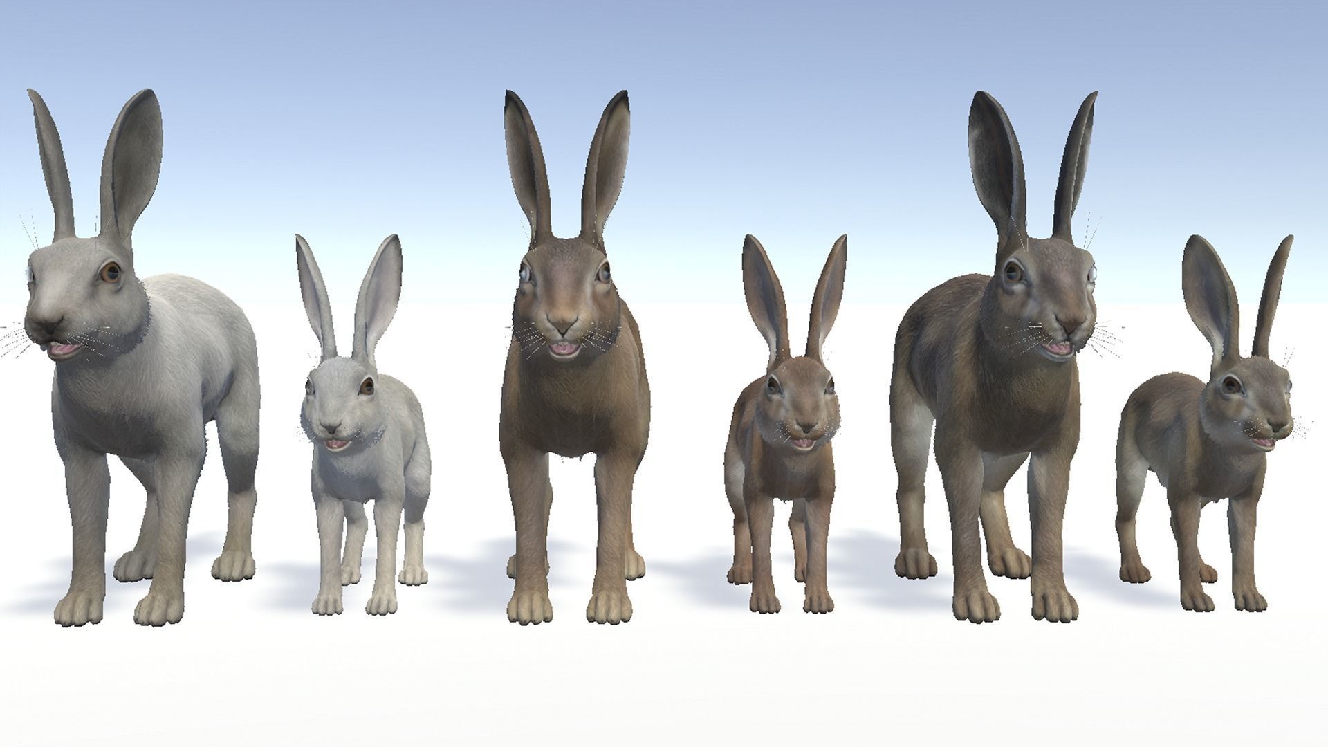 HARE FAMILY Low-poly 3D model_4