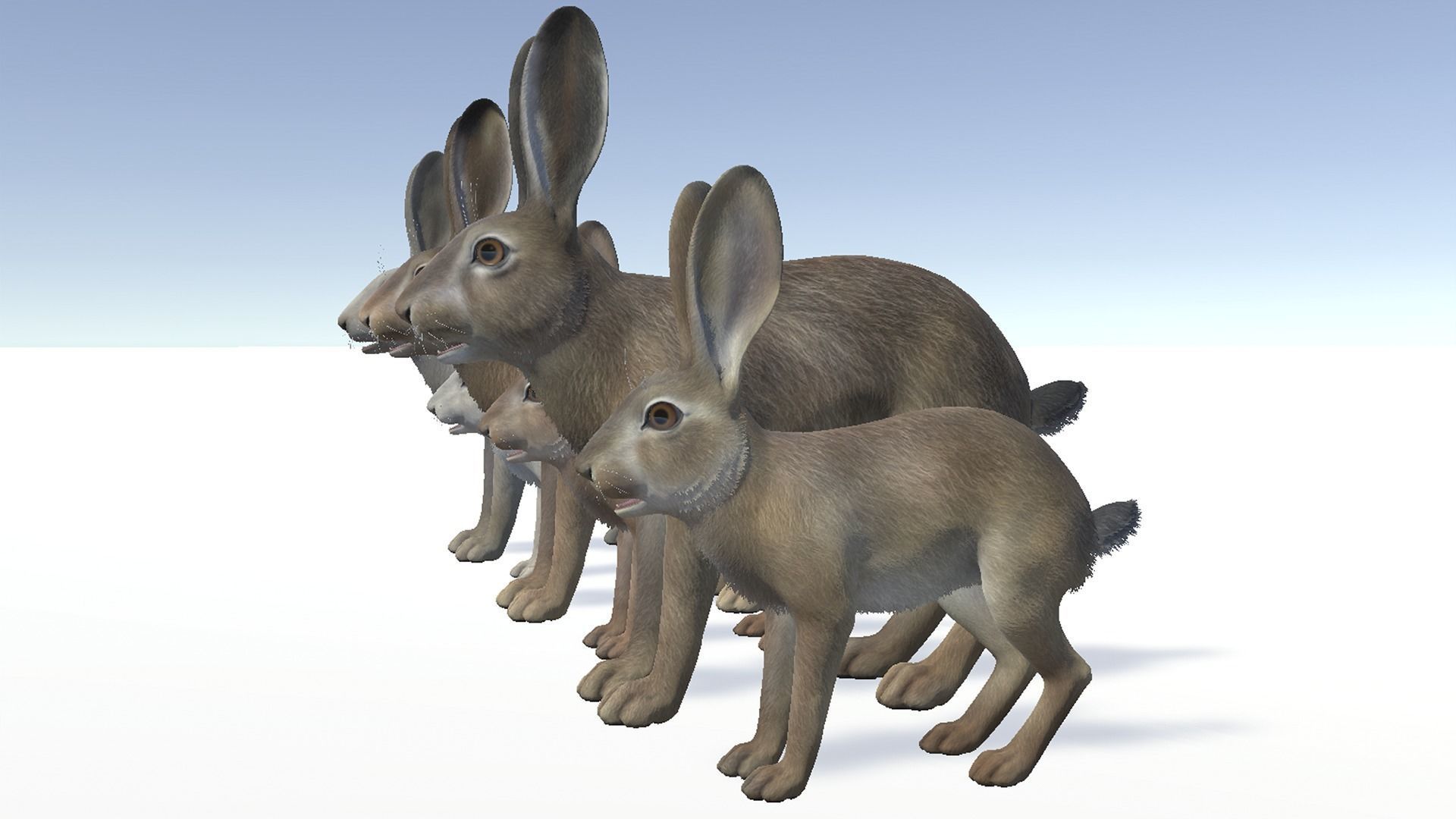 HARE FAMILY Low-poly 3D model_6