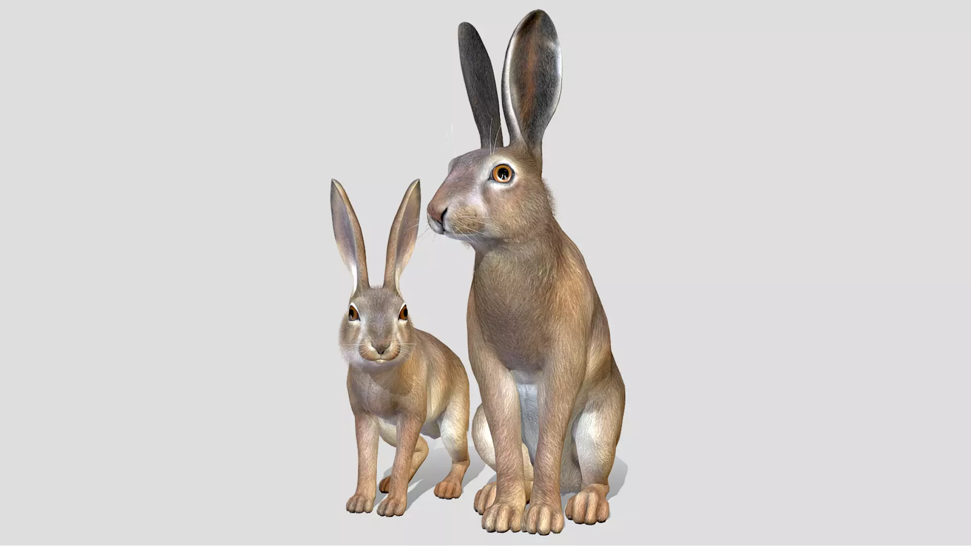 HARE FAMILY Low-poly 3D model_0