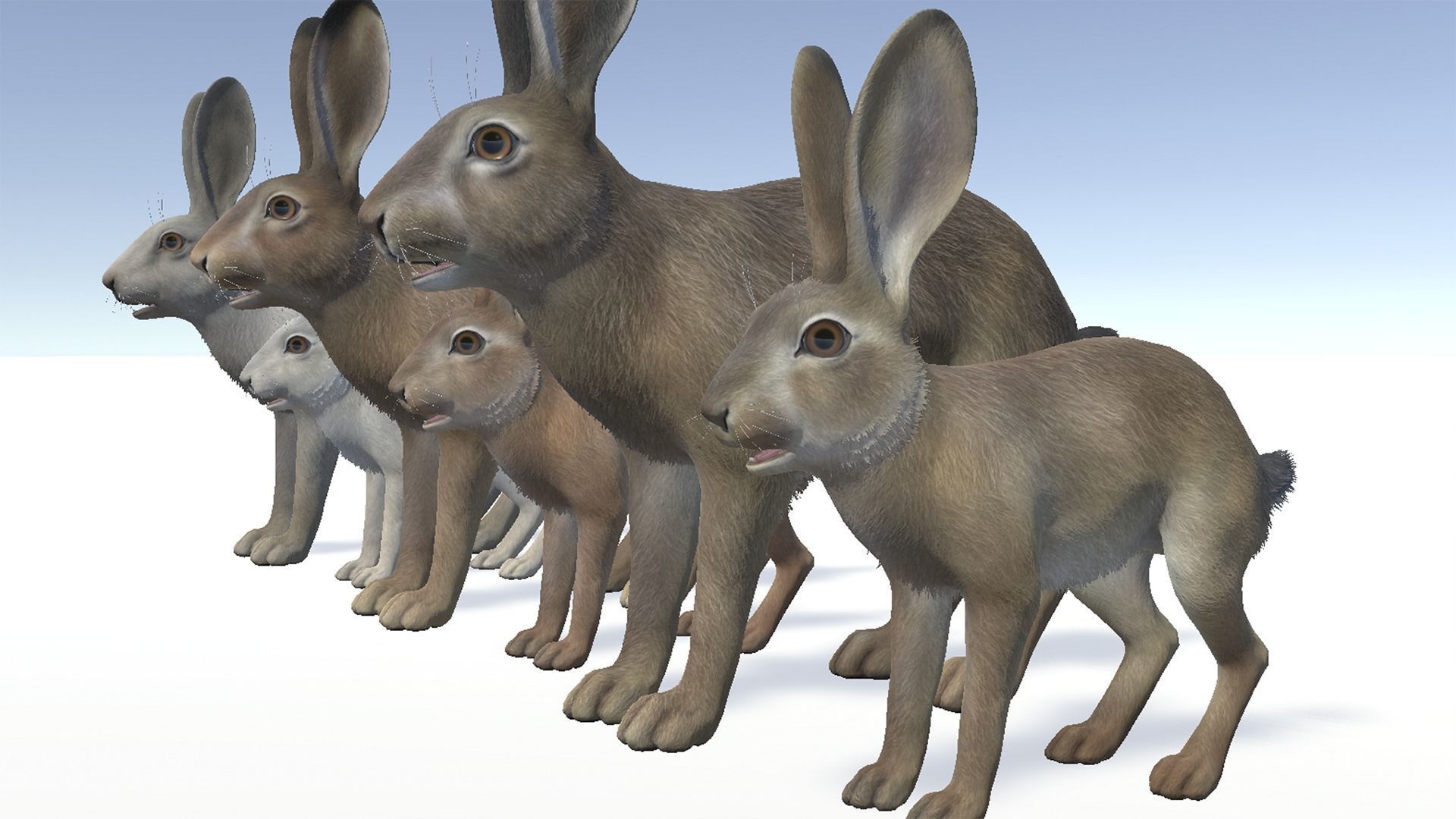 HARE FAMILY Low-poly 3D model_8