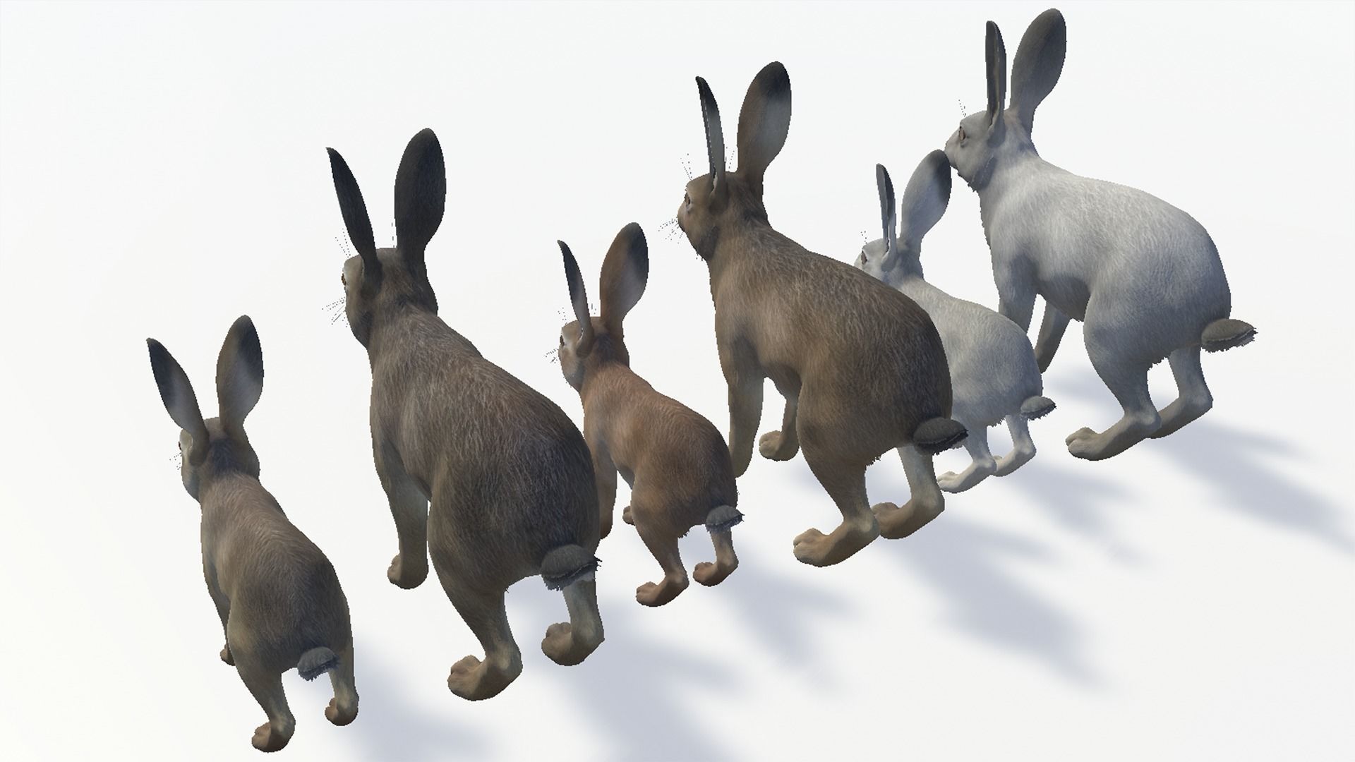 HARE FAMILY Low-poly 3D model_7