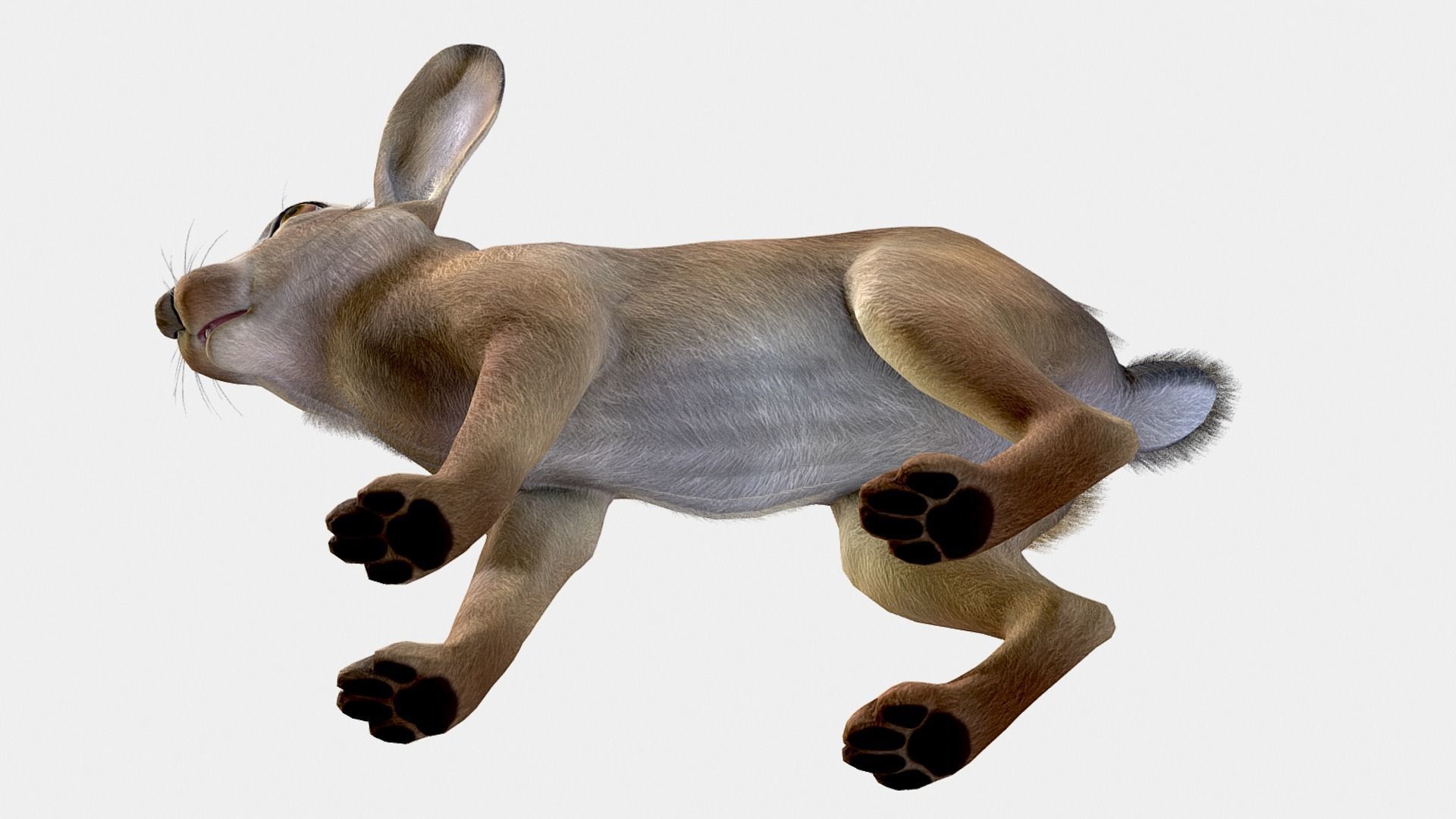 HARE FAMILY Low-poly 3D model_22