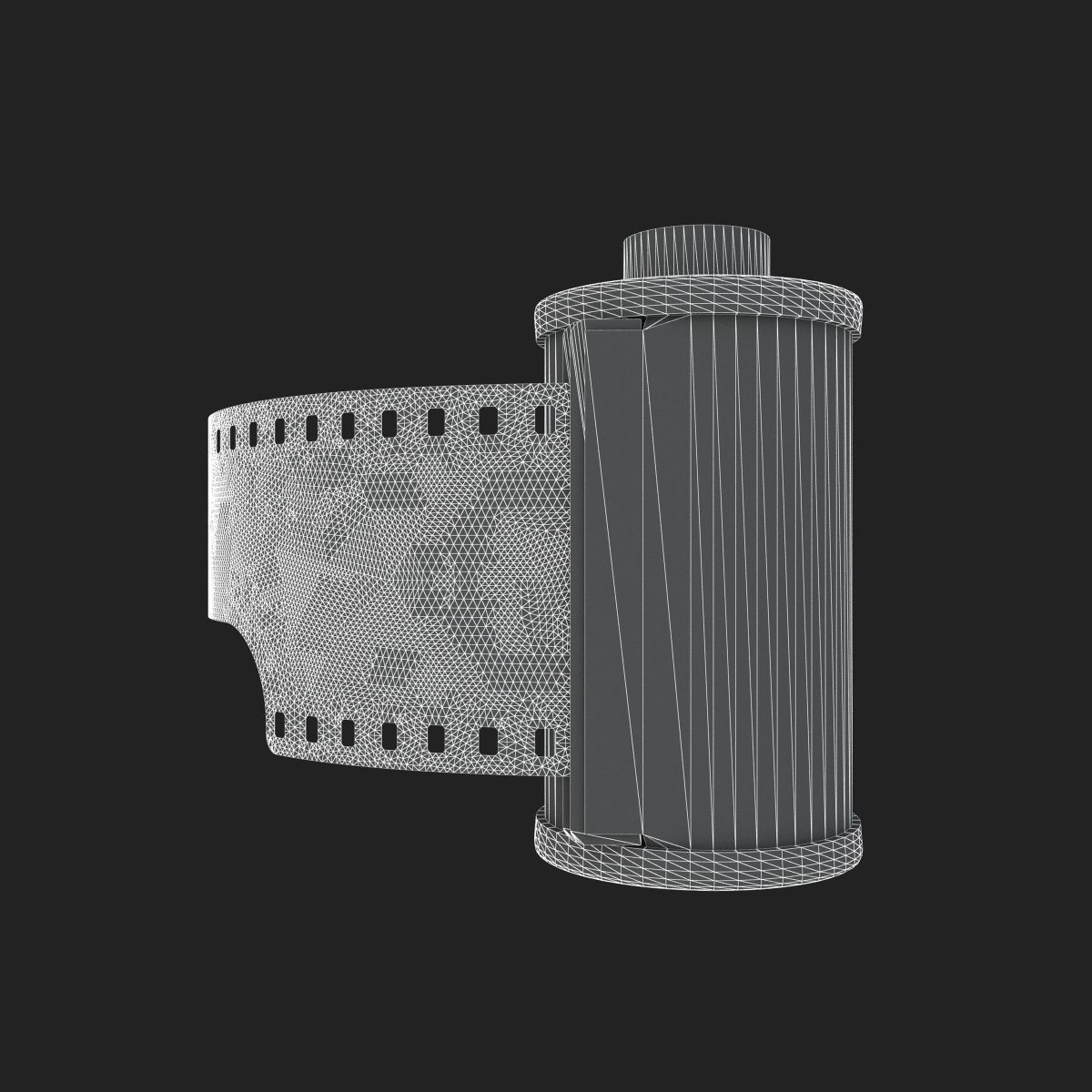 1977 Kodacolor II C 135-20 Color Negative Film 3D model_6