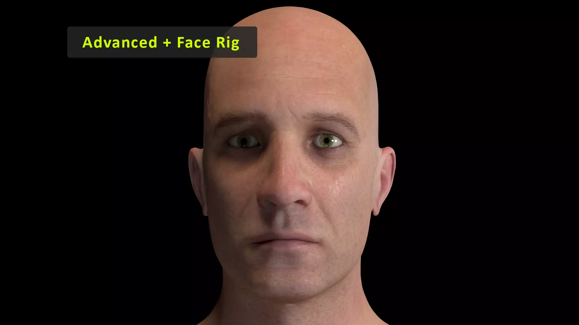 Cinematic Male 001 - Advanced Body - Face Rig - GUI Low-poly 3D model_0