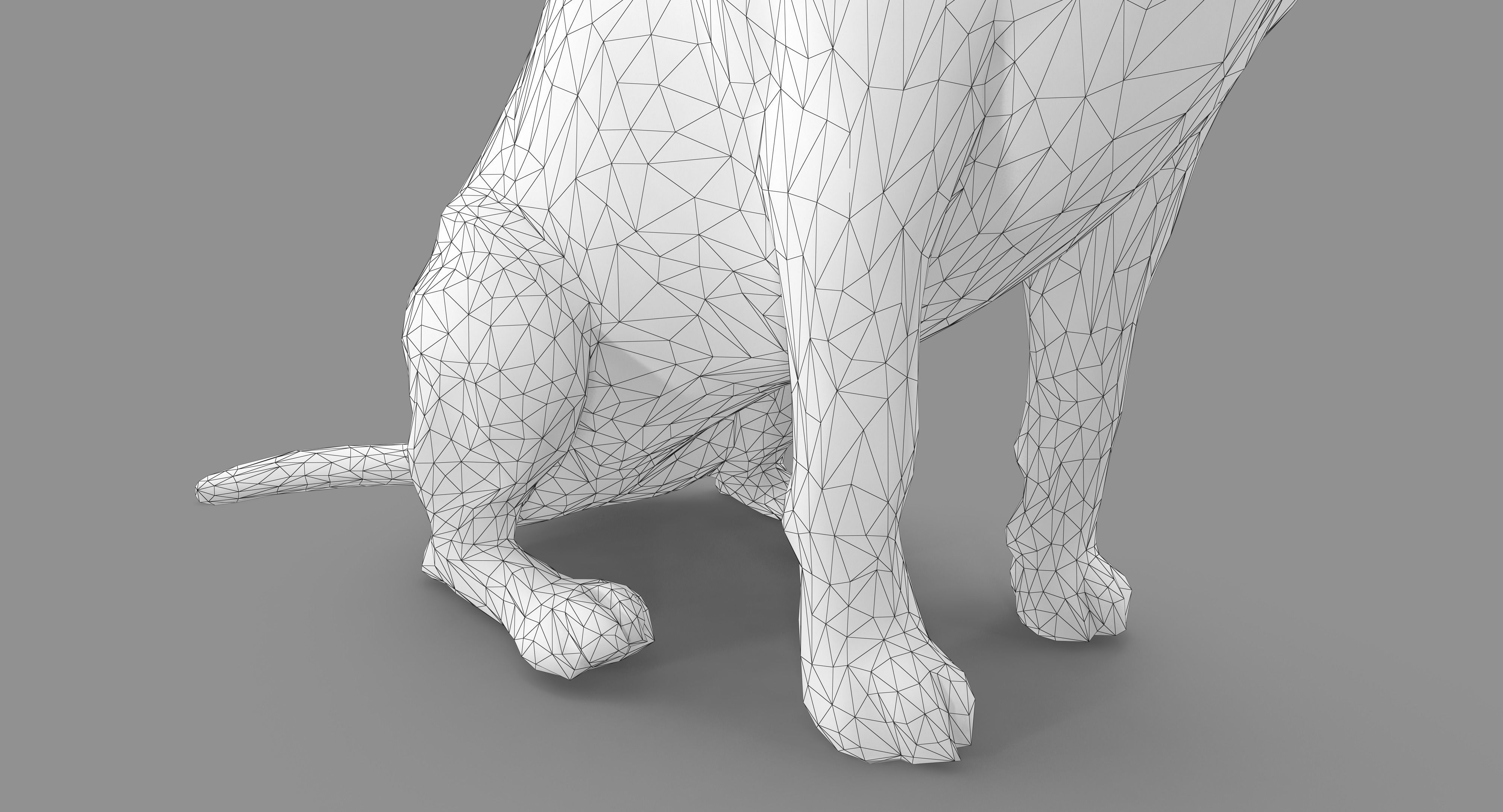 Scanned Dog Collection x13 _86