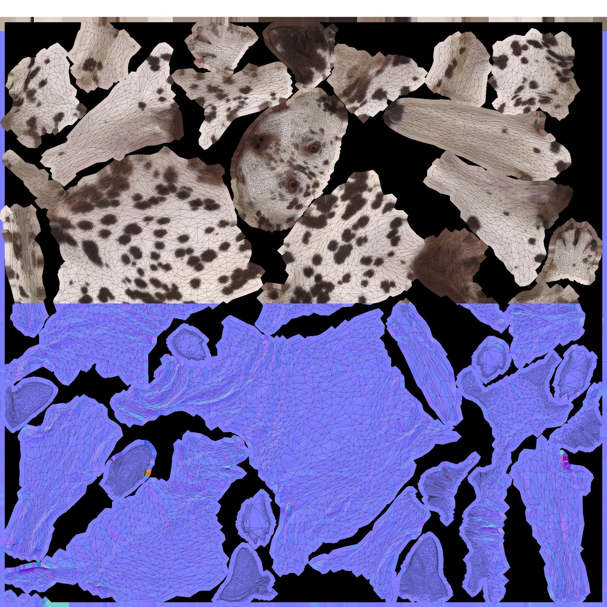 Scanned Dog Collection x13 _94