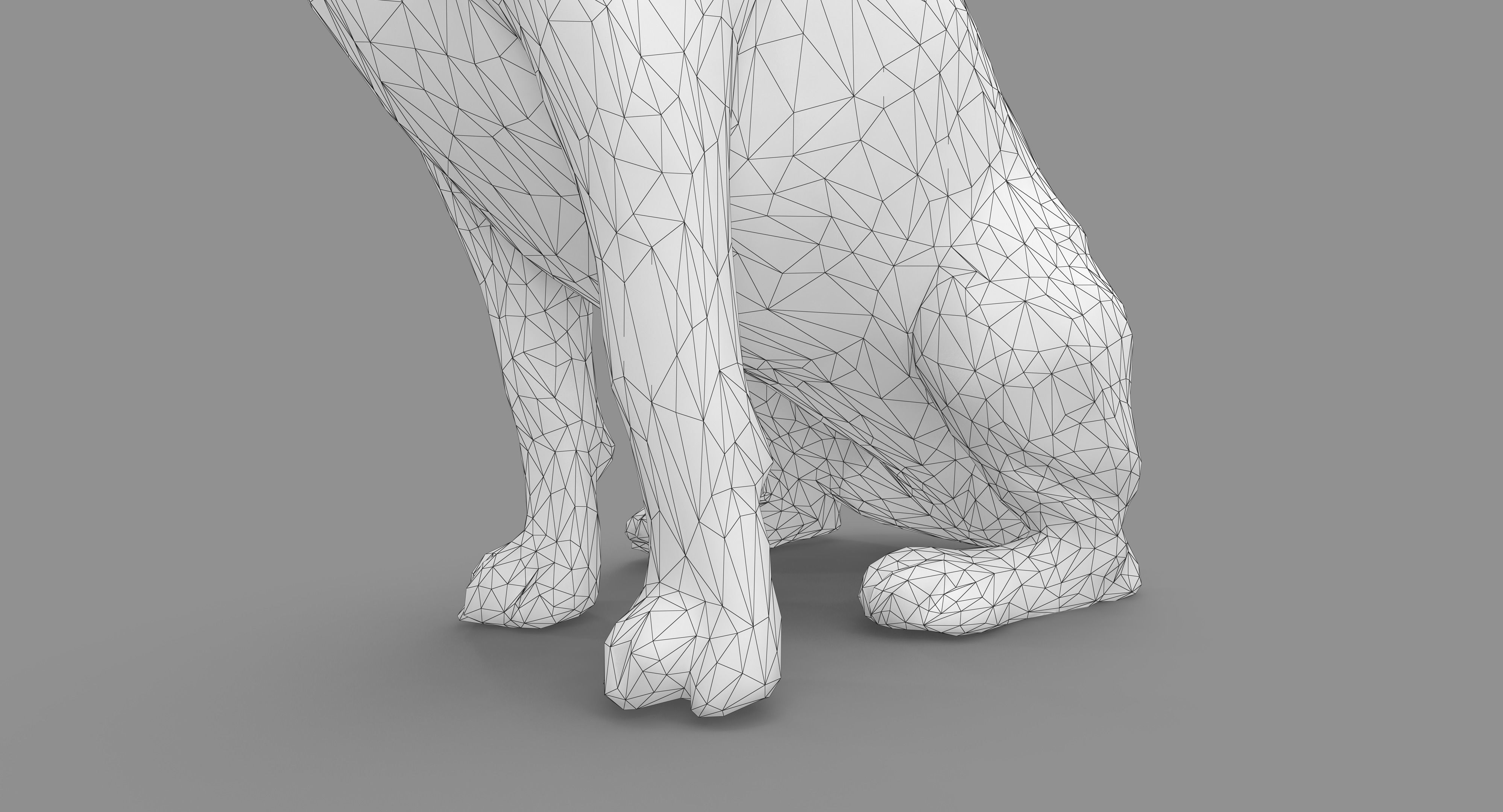 Scanned Dog Collection x13 _84