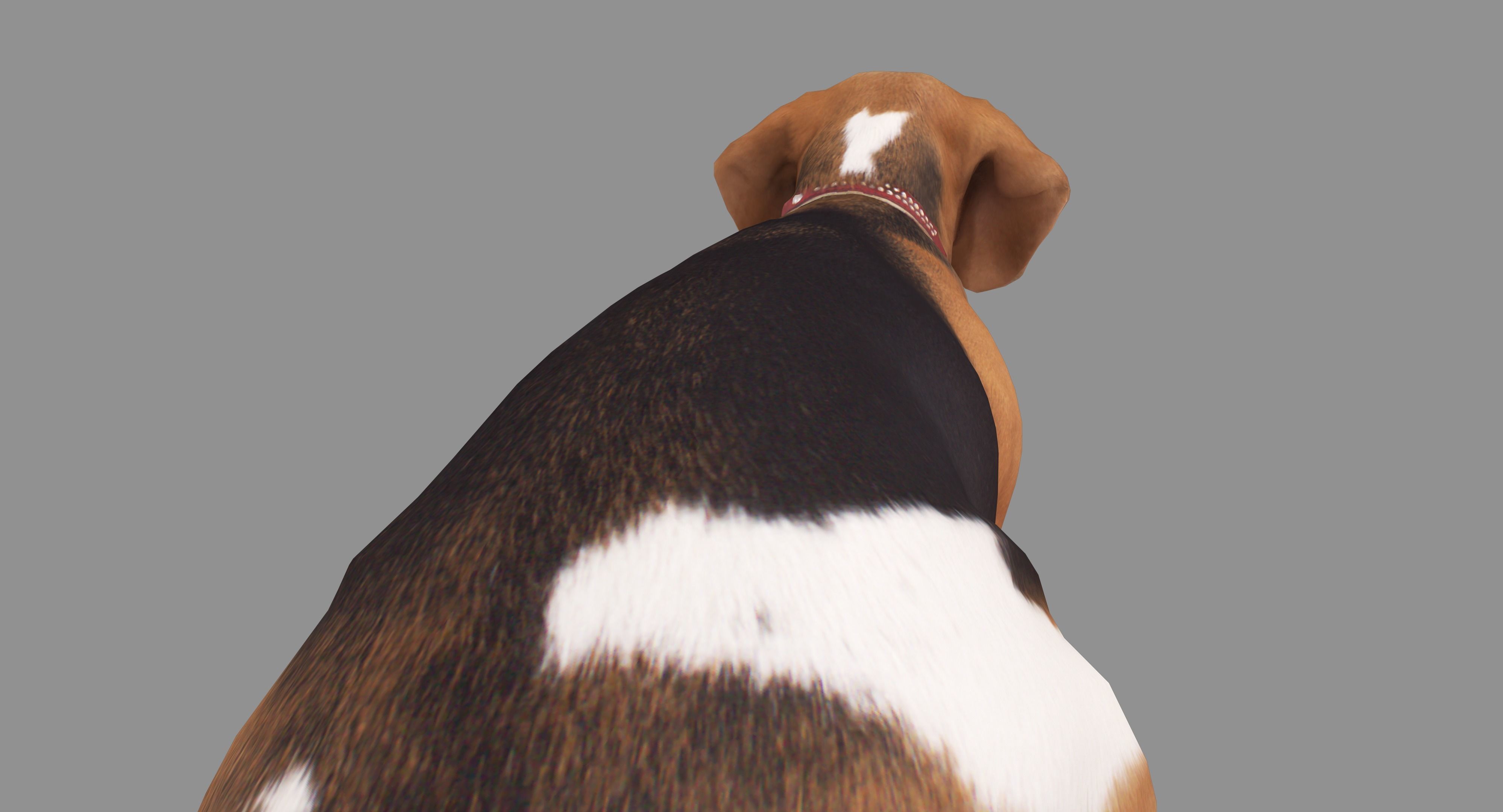 Scanned Dog Collection x13 _82