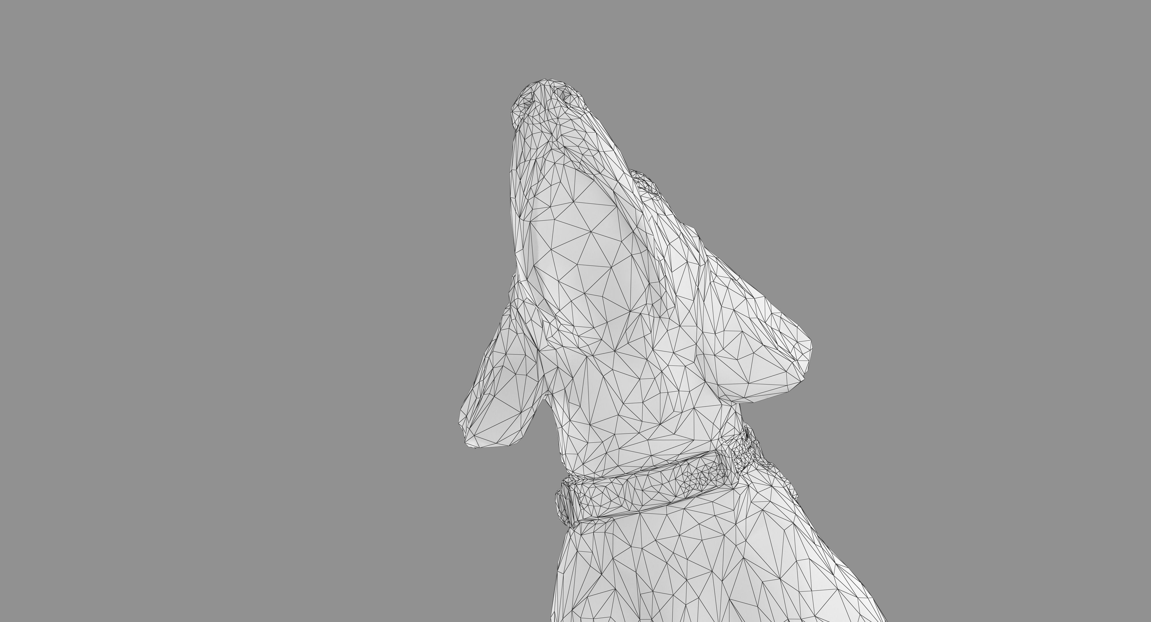 Scanned Dog Collection x13 _87