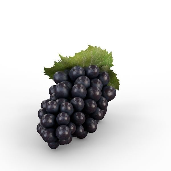 Blue Grapes 3D model_11
