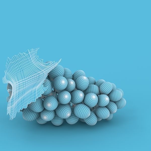 Blue Grapes 3D model_8