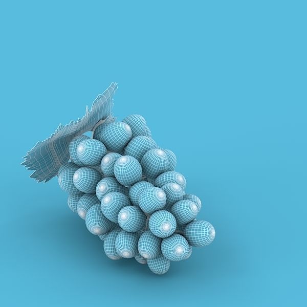 Blue Grapes 3D model_10