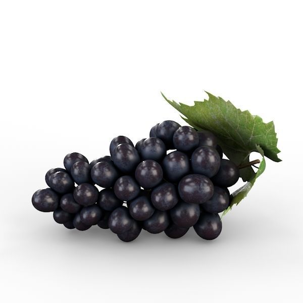 Blue Grapes 3D model_1