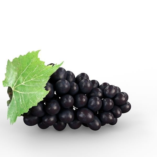 Blue Grapes 3D model_7