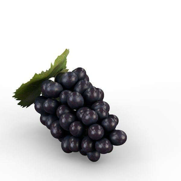 Blue Grapes 3D model_9