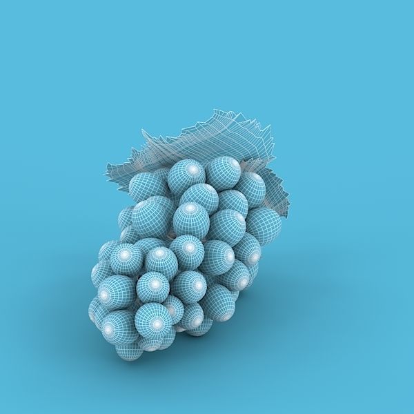 Blue Grapes 3D model_12